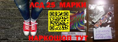 a pvp Владимир